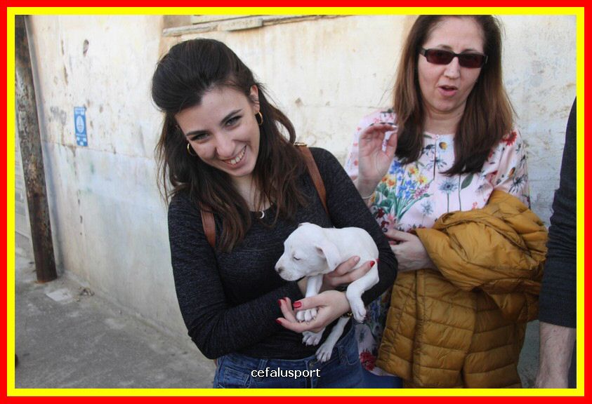 180311 mostra_canina 210.jpg